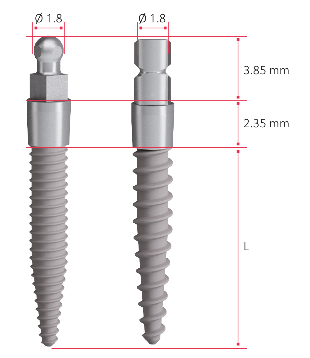 01 Impianto Dentale P1 Mini Mini Impianti Profile1 Bologna